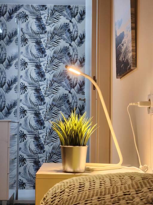 Apartment Piso De Diseno Elche